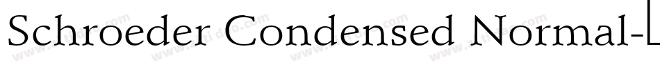 Schroeder Condensed Normal字体转换
